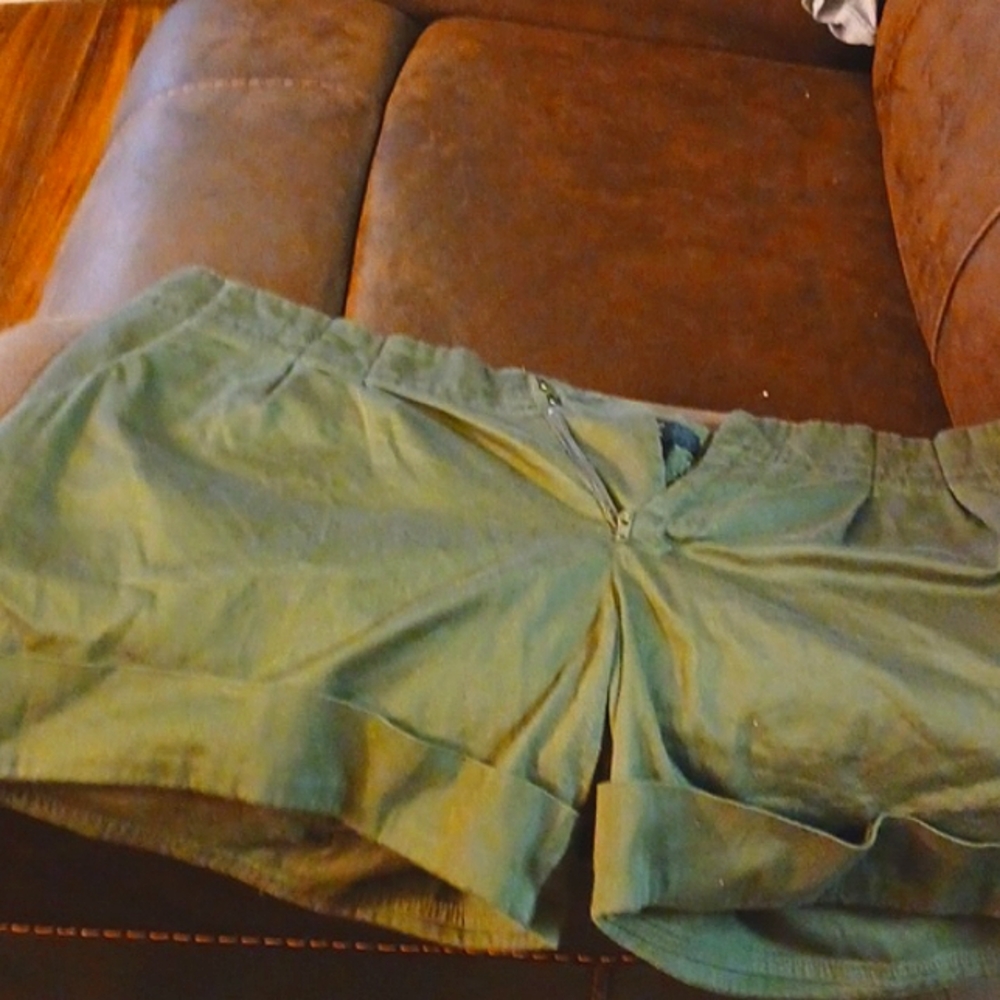 Plus size 14 shorts